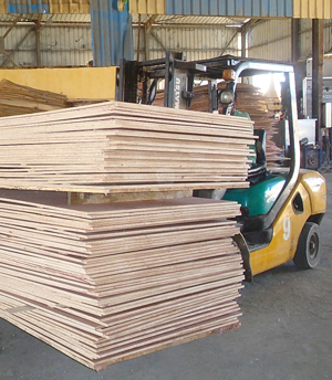  Egypt PLywood factory - About The Factory  