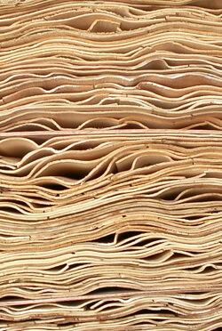  Egypt PLywood factory - Why Us ?  